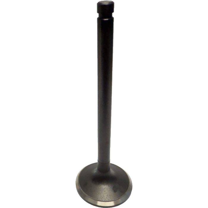 Exhaust Valve Set for Nissan TB42