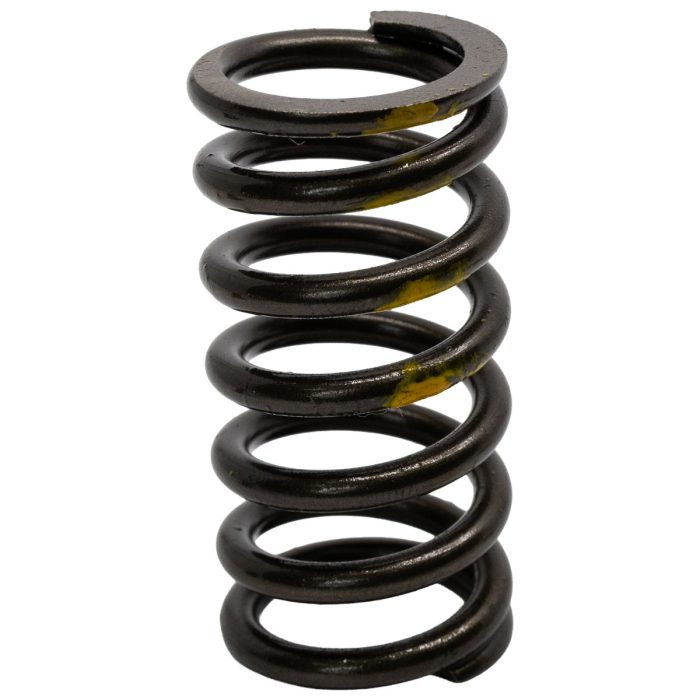 EngineBits Valve Spring for Mazda and Ford 3.2L Diesel P5-AT Engine