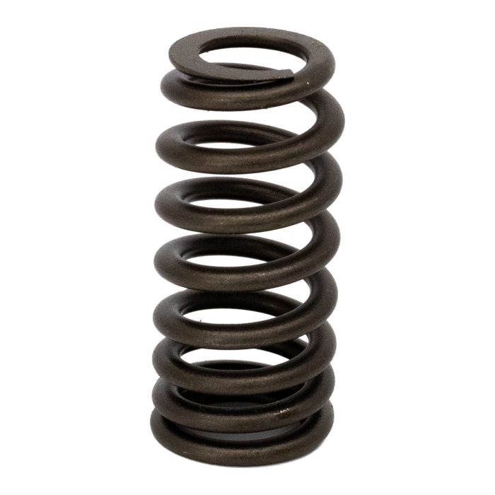 EngineBits Valve Spring for Ford 5.4L Petrol Engine