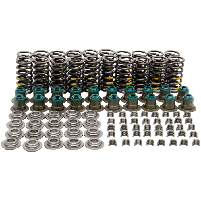 EngineBits Valve Spring Kit for 3.2L Diesel P5-AT (Puma Duratorq 32) 5 Cylinder Engine