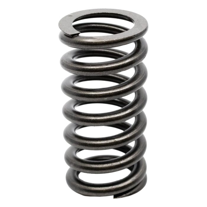 EngineBits Valve Spring for Volkswagen CDBA (16 Valve) 2.0L Diesel ...